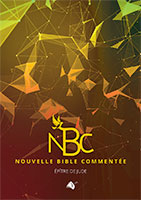 9782363344533, jude, commentaire biblique, alain-michel trichard